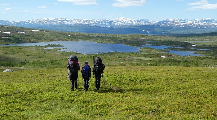 Børgefjell National Park photo: Tore Tødås