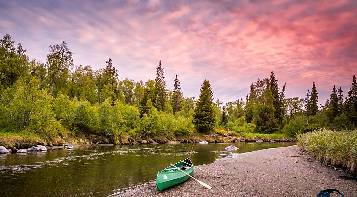 Nature safari in Namdalen