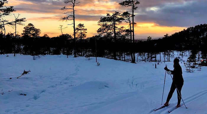 Cross-country skiing in Namdalen, Norway. Photo: Bente Snildal